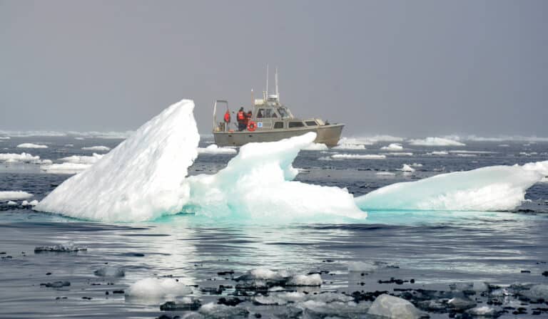 a science boat floats amongst ice flows